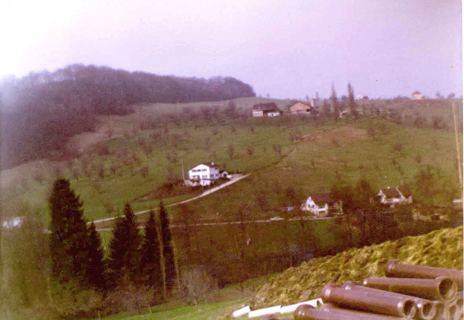 D2 - 06 Buttihügel, Farbfoto ca. 1960.JPG