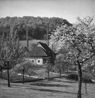 Vorschau: D3 - 68, Mühle