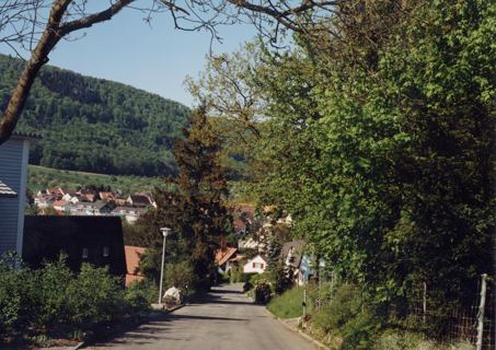 Vorschau: C5 - 05 B Chöpfliweg 2003