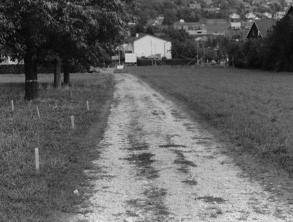 Vorschau: C3 - 04 Plattenweg 2004