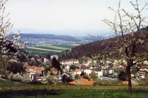 Vorschau: B - 105 Flüh vom Tannwaldweg aus 2000