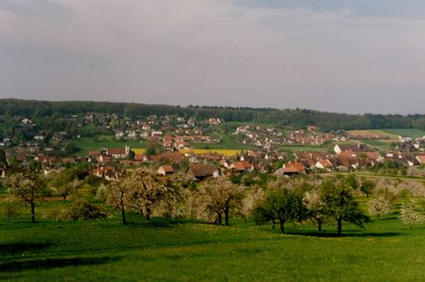 Vorschau: B - 009 Hofstetten