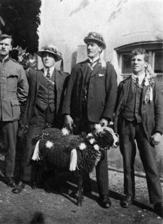 Vorschau: L - 181, Turnverein, Turnfest 1920