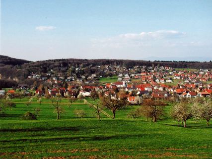Vorschau: B - 049, Hofstetten mit altem Plattenweg
