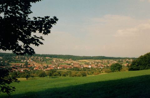 Vorschau: B - 042, Hofstetten 1988