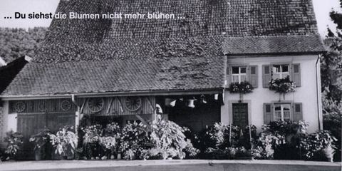 Vorschau: C1 - 215, Mariasteinstrasse 41