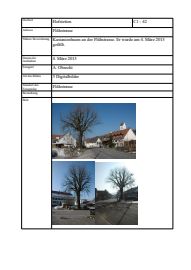 Vorschau: C1 - 123, Kastanienbaum