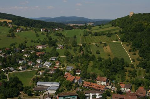 Vorschau: B - 168,  Reben vom Chöpfli aus, Felskopf mit Kreuz A