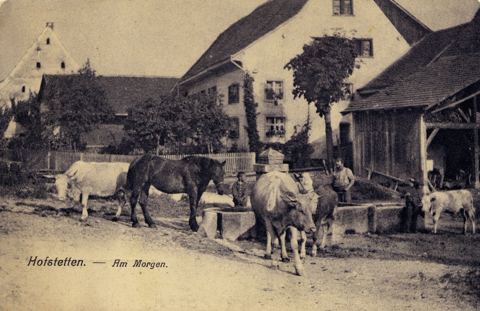 Vorschau: C1 - 202 Mariasteinstrasse 1900 B