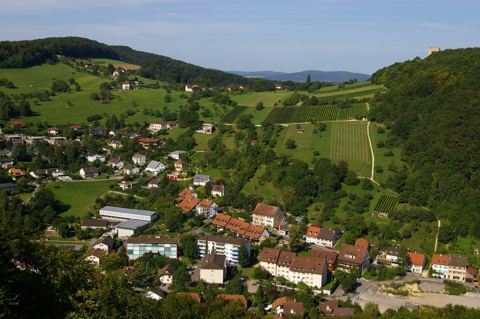 Vorschau: B - 167,  Flüh mit Landskronreben vom ersten Felsen A