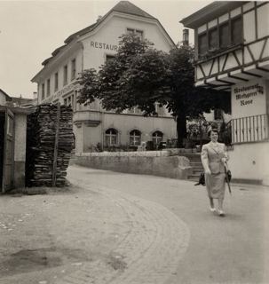 Vorschau: D2 - 27, Rose-Sternenberg