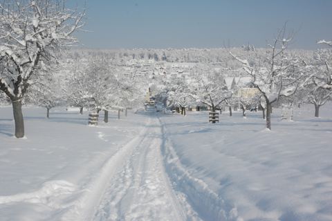 Vorschau: B - 068, Hofstetten 3. 2. 2012 032
