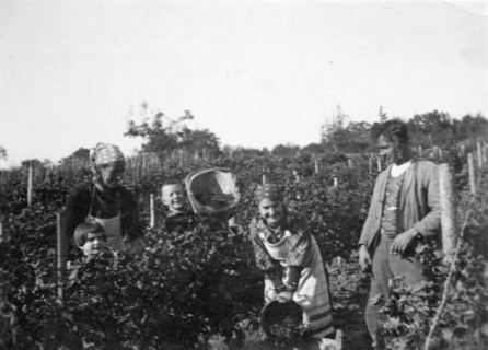 Vorschau: F - 13 Herbsten (Auf den Felsen), ca. 1935