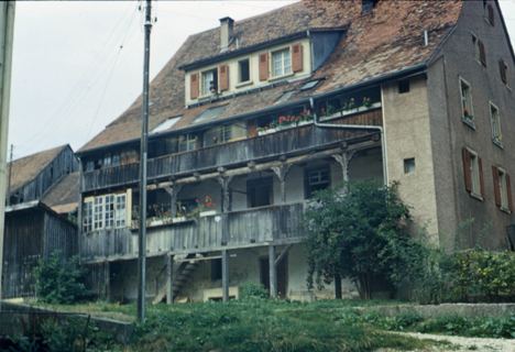 Vorschau: D2 - 12A, Roter Ochsen