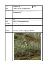 Vorschau: A - 0, Überblick über die gesamte Gemeinde, SoGis