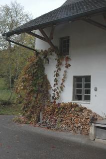 Vorschau: D3m - 07,  Mühle Flüh 2008
