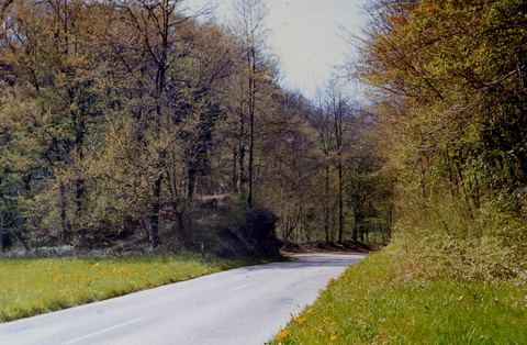 Vorschau: A - 15, Strasse  beim Känzeli
