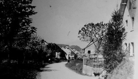 Unbenannt-4 B.JPG