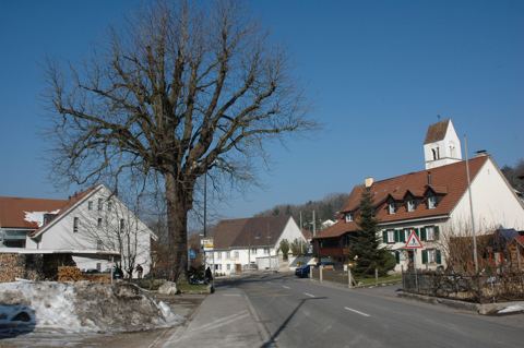 Vorschau: C1 - 42 A