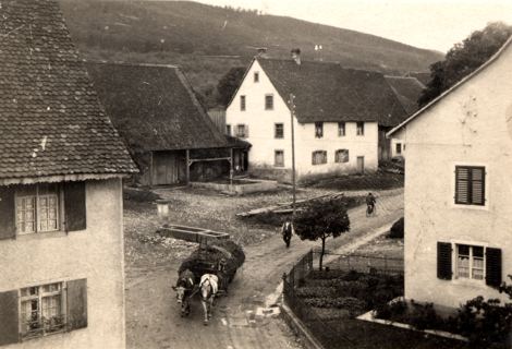 Vorschau: C1 - 104 A, Mariasteinstrasse
