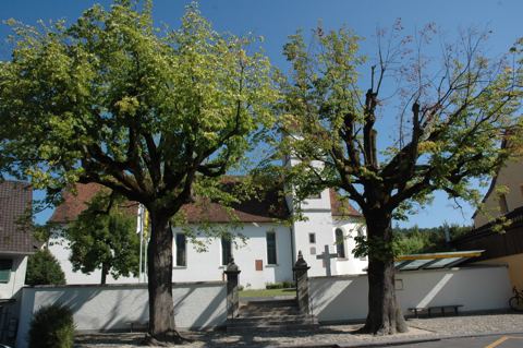 Vorschau: C1 - 422 A, Pfarrkirche mit Linden 2009