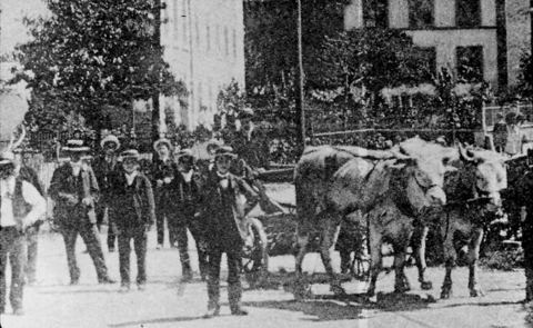 Vorschau: F - 17 Ochsengespann 1900