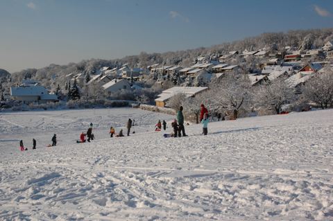 Vorschau: B - 069 A, Hofstetten 4. 2. 2012 008
