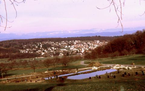 Vorschau: B - 007 Hofstetten von Vorhollen aus mit Weihern