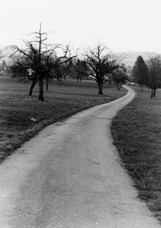 F - 03, Hofstetten., Schräger Weg.JPG