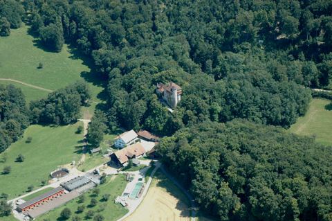 Vorschau: A - 25, Burg Rotberg_2007_peter_brotschi