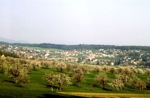 Vorschau: B - 046, Hofstetten 1991