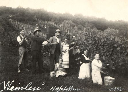 Vorschau: F - 24, Weinlese 1932