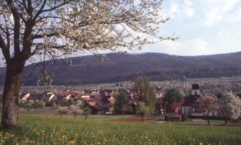 Vorschau: B - 043, Hofstetten im Frühling 1981