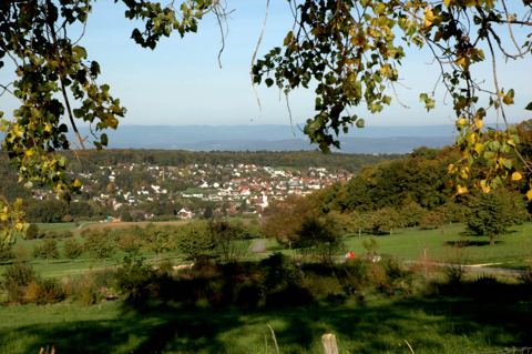 Vorschau: B - 008, Hofstetten von Vorhollen aus 2007