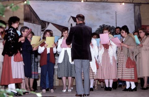 Vorschau: L - 107, Cäcilienverein 1981