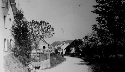Unbenannt-4 C.JPG