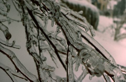 M - 02 Eisregen A.JPG