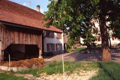 Vorschau: C1 - 23, Flühstrase 10, B