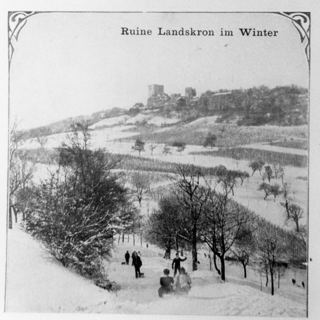 Vorschau: D2 - 18 Landskron im Winter mit Steinrain