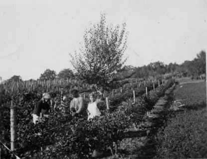 Vorschau: F - 14 Herbsten Auf den Felsen, ca. 1935